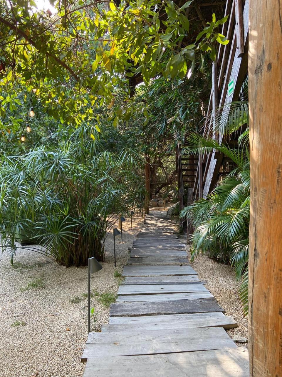 Amor Rooms Tulum Exterior photo
